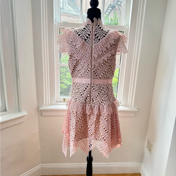 SELF-PORTRAIT Guipure Lace Mini Pink Dress - Picture 3 of 5